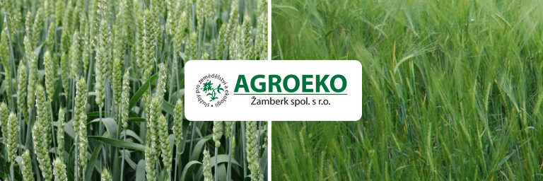 azoter-jacmen-psenica-768×432 copy