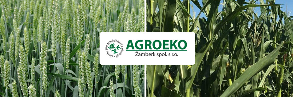 kukurica-psenica-azoter