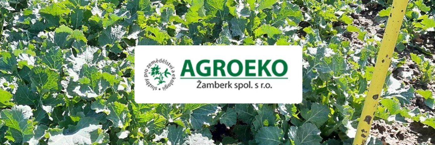 repka—clanok—azoter