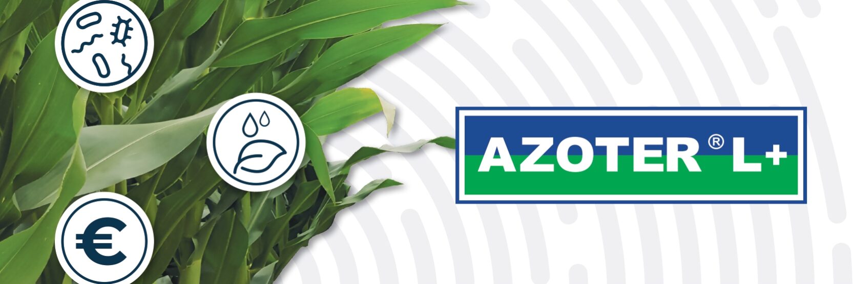 Inzercia FB MK HQ Inzercia FB MK HQ