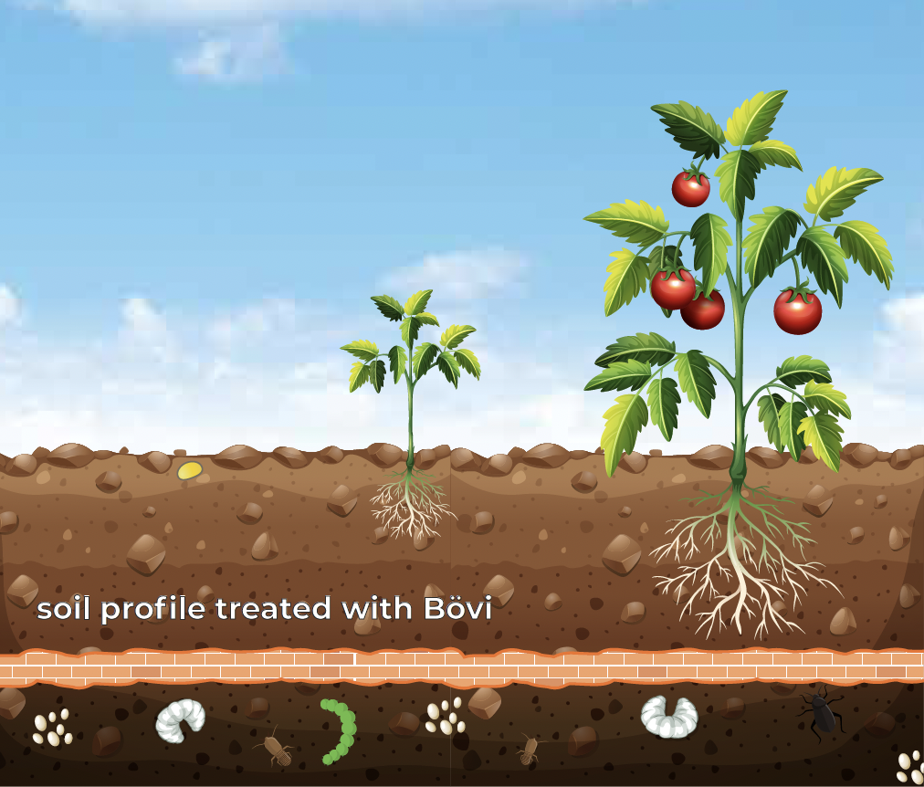 BÖVI, effective method to fight soil pests